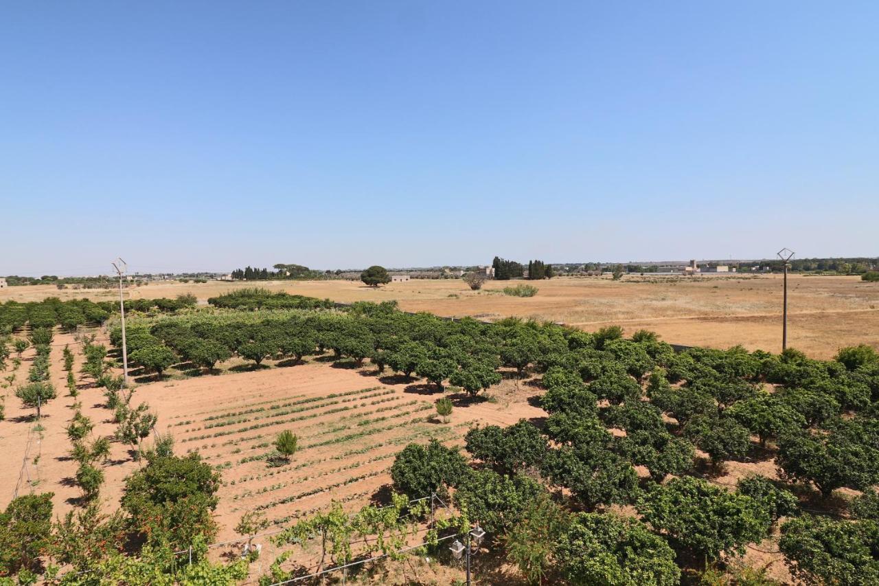 Tenuta Degli Agrumi Carmiano  Екстериор снимка